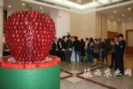 与会代表参观陕西苹果产品展示 - 农业厅