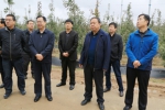延安：张宏副市长带队赴甘肃庆阳学习考察苹果新型栽培模式 - 农业厅
