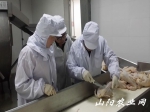 县动物卫生监督所官方兽医在现场对宰杀的白条鸡进行检疫。 - 农业厅