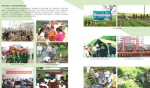 陕西高校开展“12•5”国际志愿者日服务活动 - 教育厅