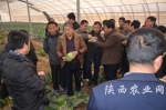 高级职业农民培训学员与杨凌中来合作社土专家王中来互动交流 - 农业厅