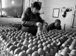 鸡蛋供大于求价格跌至3元 - 三秦网