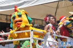 巴西累西腓狂欢节致敬中国鸡年 - 文化厅