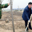 省检察院副巡视员王亚利带领干警到西咸新区参加义务植树活动 - 检察