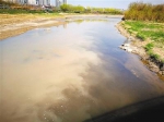 排污口藏身桃花潭公园 大量黑水排放至浐河里 - 华商网