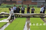 专家组在南郑县新集镇焦山村稻经轮作示范点现场指导 - 农业厅