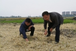 汉中市农机管理站督导“三夏”农机化生产工作 - 农业机械化信息