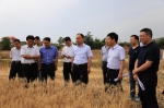 铜川市副市长刘西林检查指导“三夏”工作 - 农业机械化信息