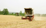 渭南市机收小麦超过七成 - 农业机械化信息