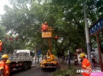 树枝遮挡交通标志 西安交警城管建快处程序修剪 - 陕西网