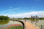 汉中滨江生态湿地公园一角 - 人民政府