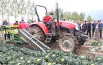 全省蔬菜生产全程机械化现场演示会在太白召开 - 农业机械化信息