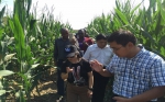 非洲友人访问西安长丰农机专业合作社 - 农业机械化信息