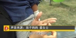 2岁男孩摸了下小区里的立体字 手指被缝20多针 - 西安网