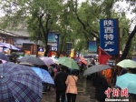 降雨降温难阻游客热情 陕西部分景区“爆满” - 华商网