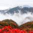 河南云台山进入颜值“巅峰期” 层林尽染美如画 - 西安网