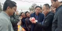 陕西延安山地苹果丰收 “果王”一颗1.3斤 - 古汉台