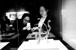 “长安丝路东西风”展览将在陕西历史博物馆免费展出 - 古汉台