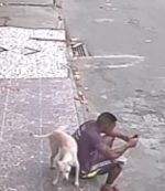 倒霉！巴西男子坐路边玩手机惨被小狗尿一身 - 西安网