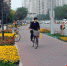 畅通骑行!西安高新区科技路有条彩色自行车道 - 西安网