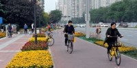 畅通骑行!西安高新区科技路有条彩色自行车道 - 西安网