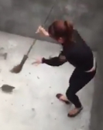 人鼠大战！越女子打扫卫生时遭巨鼠攻击被吓惨 - 西安网