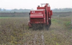 铜川积极指导豆类机械化收获，促进秸秆机械还田利用 - 农业机械化信息