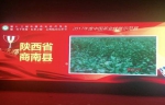 商南县被授予2017年度中国茶业扶贫示范县 - 古汉台