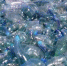 恐怖蓝色地毯！上万毒水母组团包围澳大利亚海湾 - 西安网
