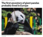 大熊猫起源于欧洲？专家：仅凭一两处化石难定 - 西安网