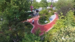 奔跑吧·这一年 | 曲江新区“五路”增绿 助力大西安花园之城建设 - 西安网