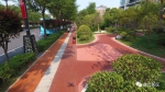 奔跑吧·这一年 | 曲江新区“五路”增绿 助力大西安花园之城建设 - 西安网