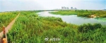 西安 “九龙治水”变“河长管水” 河流净了 生活美了 - 西安网
