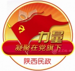 陕西省民政厅：加强社会组织党建 创新扶贫参与机制 - 民政厅