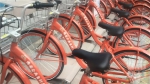 西安市本土公共自行车新升级 - 华商网