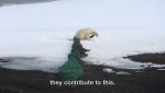 塑料潮大肆席卷 北极生物生存面临威胁 - 西安网