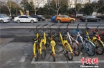 春节杭州景区单车停放有序 整齐划一成新“风景线” - 西安网
