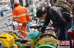 春节杭州景区单车停放有序 整齐划一成新“风景线” - 西安网