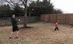 美3岁男童1岁开始练习棒球 击球技术高超 - 西安网