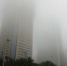 大雾笼罩海口：港口暂时停航过海车辆待渡（图） - 西安网
