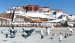 西藏发展进入历史最好时期 - 西安网