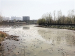 桃花潭公园部分水域不干净有异味 市民盼望及时清理 - 西安网