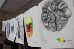 学生手绘百幅人体图开画展 效果胜3D - 西安网