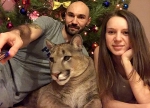 俄罗斯夫妇养美洲狮当宠物 相处融洽温馨 - 西安网