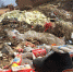 没有垃圾台垃圾被随意堆放 铜川村民家门口遭殃 - 西安网