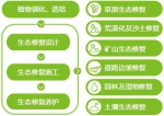 蒙草+秦草：陕西的“秦草式”生态建设 - 西安网
