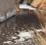 长期排污水致清峪河不清 政府称水泵烧坏电缆被偷无法抽取污水 - 西安网