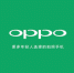 出海十年，OPPO的求变与坚守 - 西安网