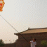 图为卡通加菲猫风筝。　张一辰 摄 - 陕西新闻