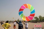 图为直径32米的滚地龙风筝。　张一辰 摄 - 陕西新闻